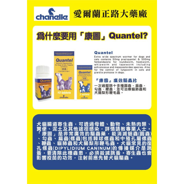 Quantel Round & Tapewormer 康圖杜虫丸- 2粒裝